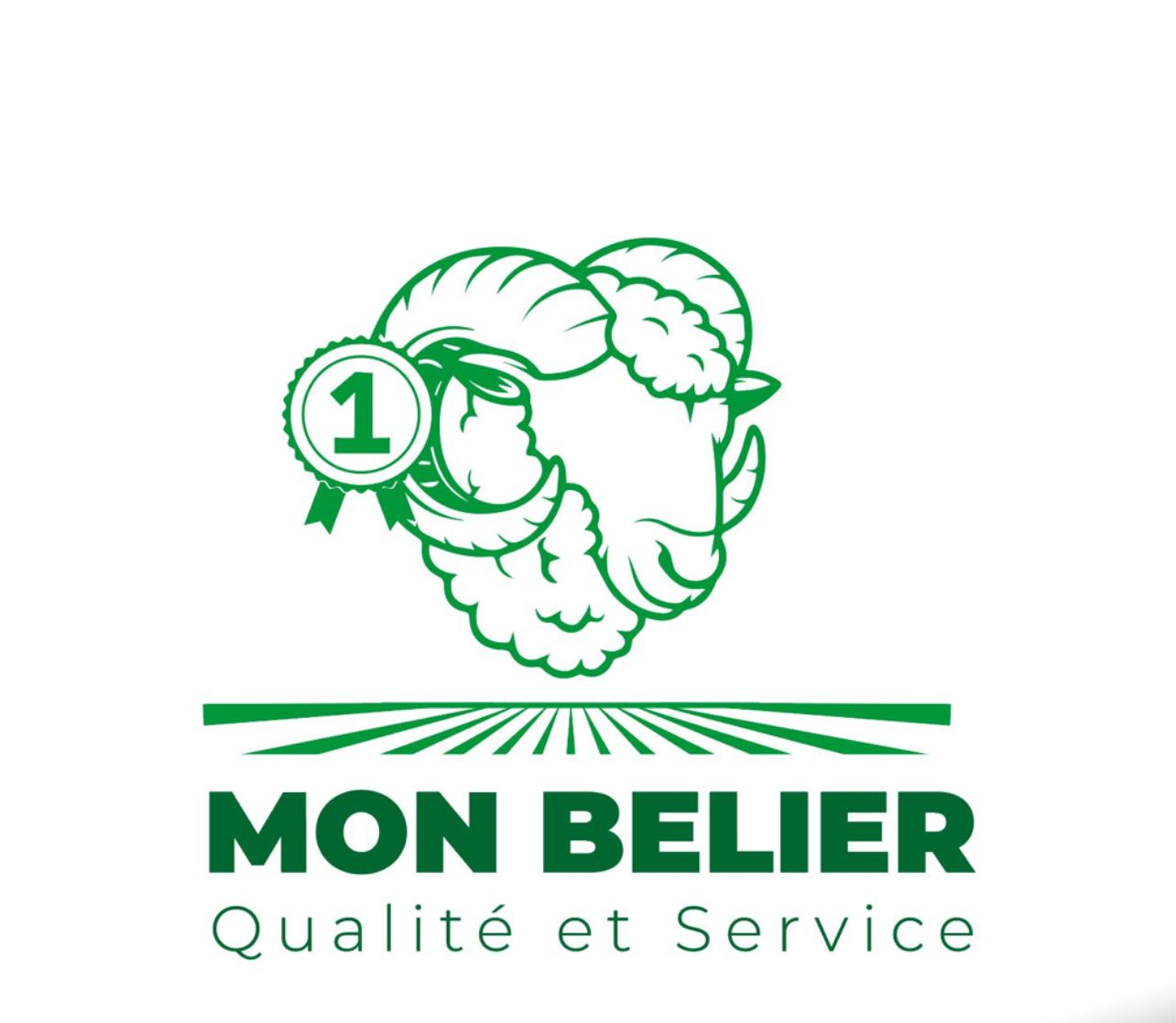 http://www.monbelier.ovh/