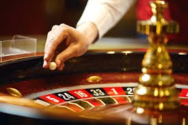 The Excitement of Live Roulette Spin the Wheel and Win The Excitement of Live Roulette Spin the Wheel and Win